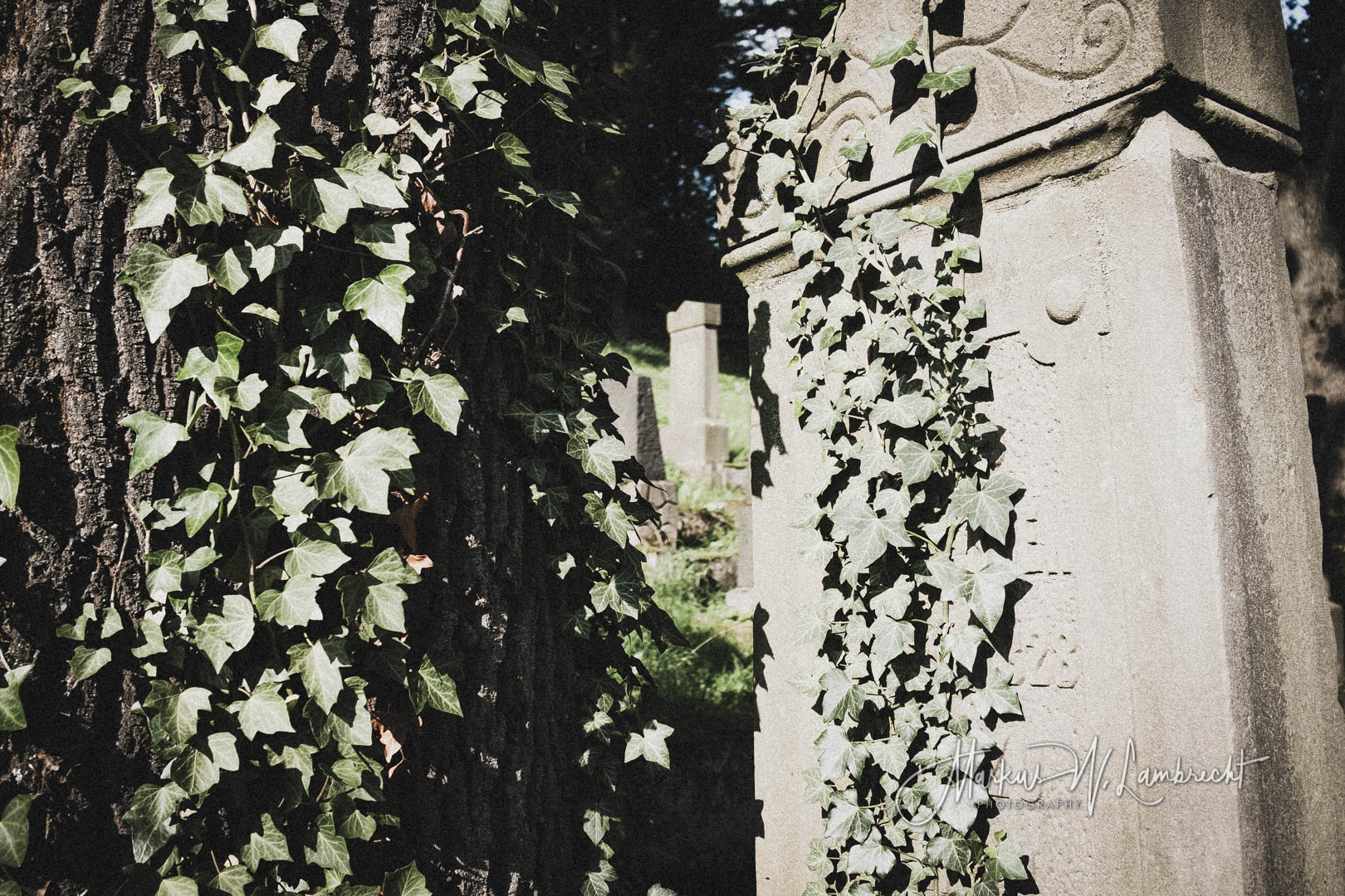 Adelebsen, Jüdischer Friedhof